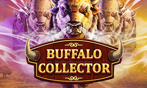 cachvao188bet Buffalo Collector